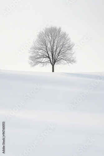 A lone tree in a vast, open field of pure white snow 