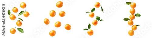 falling ripe calamondin oranges on white background, full depth of field,transparent background