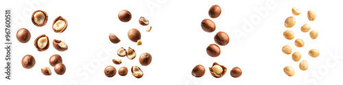 falling ripe macadamia kernels on white background, full depth of field,transparent background