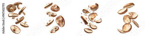 falling shiitake mushroom slices on white background,transparent background