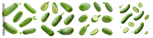 falling ripe prickly cucumber fruits on white background, full depth of field,transparent background