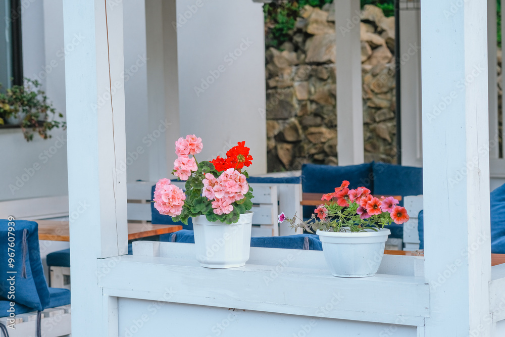 Fototapeta premium Brightly colored flowers in white pots enhance a cozy outdoor seating area at a cafe in spring