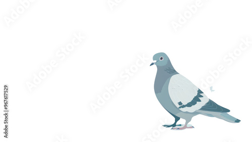 Pigeon Isolated on Png Background.