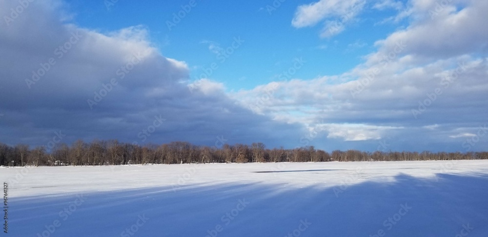 Obraz premium winter landscape with trees