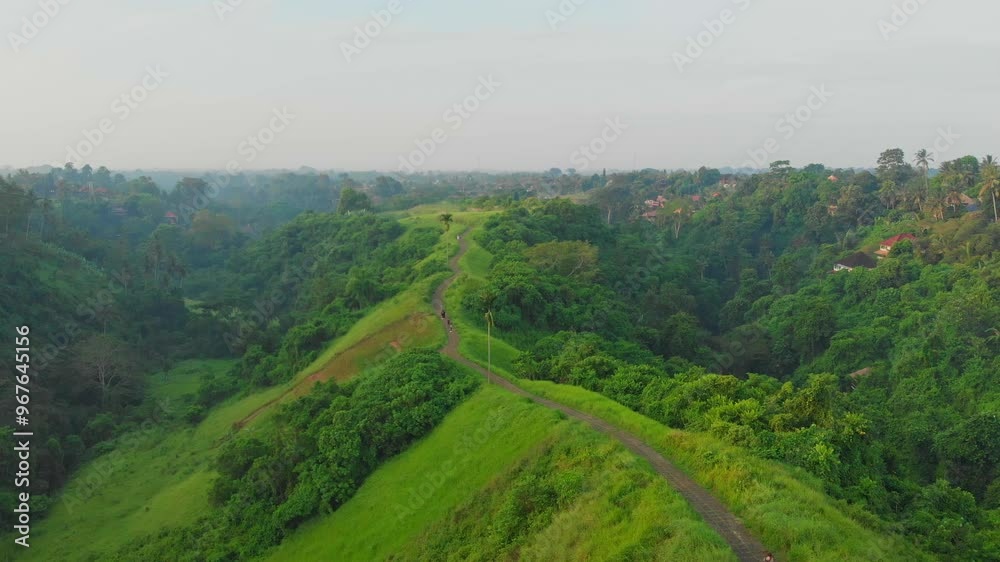 Aerial view of the lush forest and palm trees along the Campuhan Ridge Walk at sunset, Ubud, Bali, Indonesia. Aerial view of the lush forest and palm trees along the Campuhan Ridge Walk at sunset, Ubud, Bali, Indonesia.