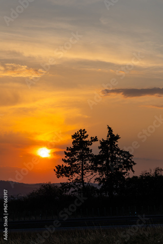 Orange sunset sun getting down amongs the trees over the road in the shade. Dramatic orange sky during the susnset.