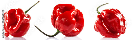 Red Savina habanero pepper isolated on white background. Is a variety of chili pepper have a heat rating of 350,000 — 577,000 Scoville units