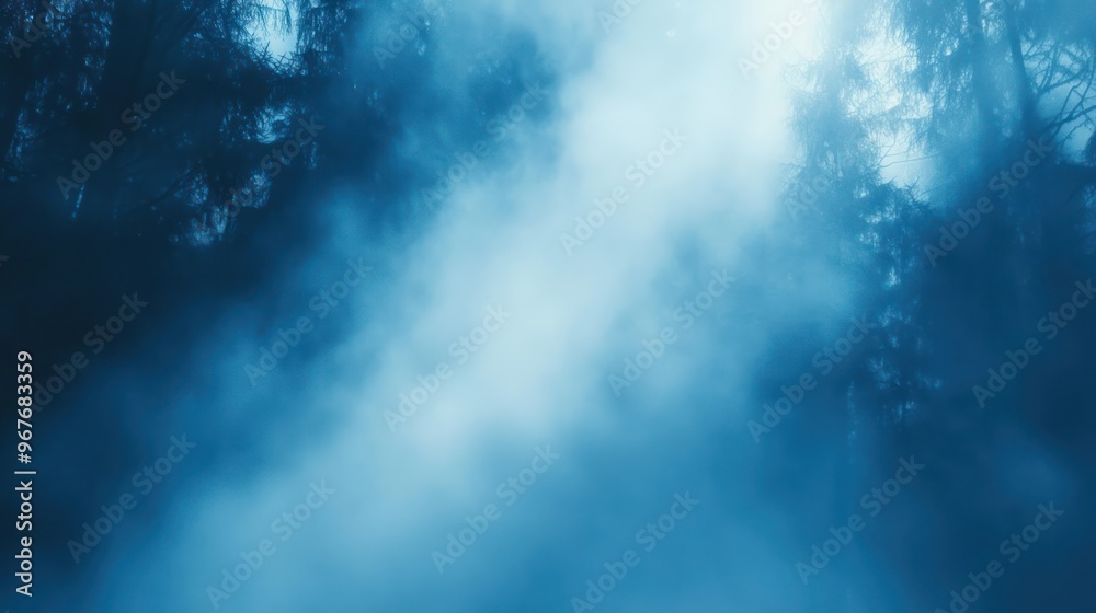 Fototapeta premium Misty Forest