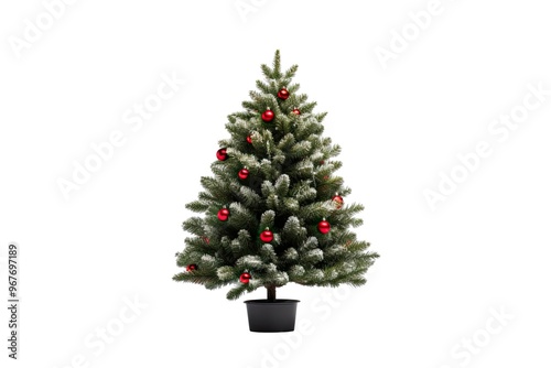 Decorative Merry Christmas Tree Isolated on Png Background. photo