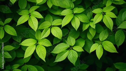 Lush Green Leaves Texture Background