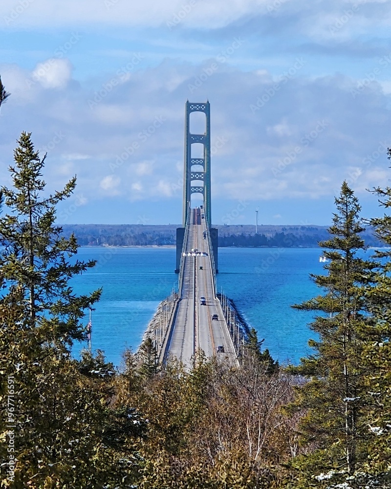 Fototapeta premium bridge over the river
