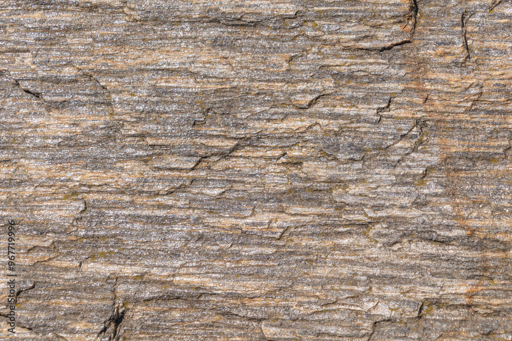 A close-up texture of a layered, weathered rock formation with varying shades of gray. Backgrounds A close-up texture of a layered, weathered rock formation with varying shades of gray. Backgrounds