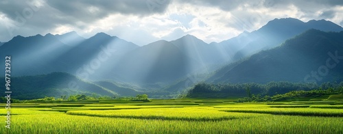 Sun Rays Over Rice Paddy Fields