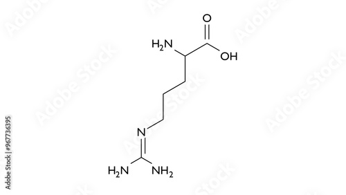 l-arginine molecule, structural chemical formula, ball-and-stick model, isolated image  l-alpha-amino acid photo