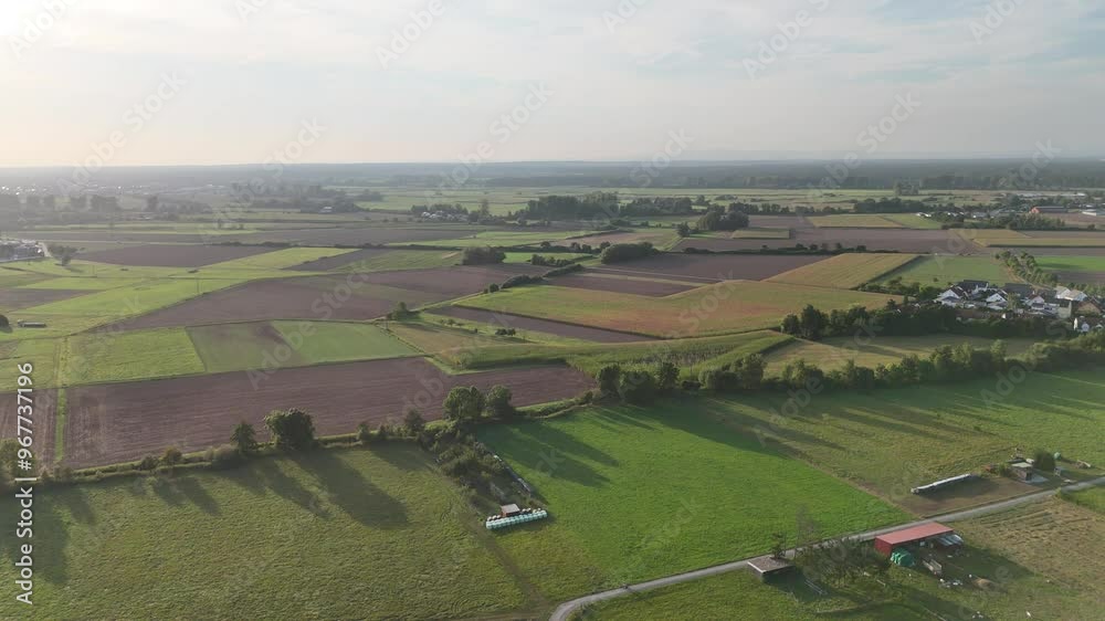 Flug ueber Felder bei Babenhausen, Hessen Flug ueber Felder bei Babenhausen, Hessen