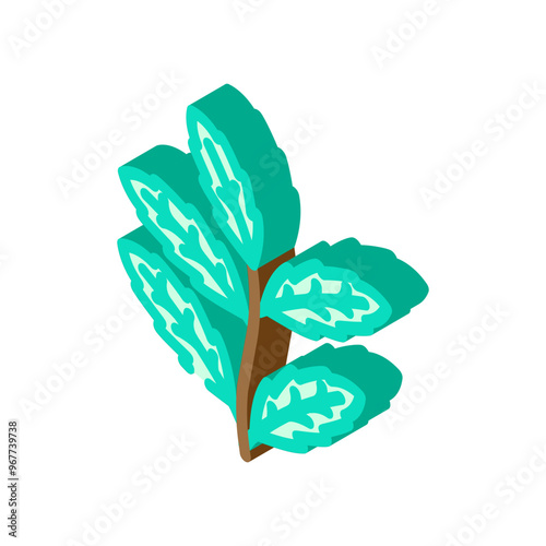 neem leaves ayurvedic herb isometric icon vector. neem leaves ayurvedic herb sign. isolated symbol illustration photo