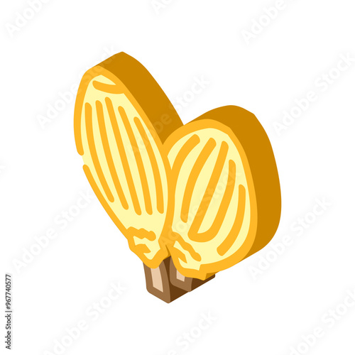 coriander seeds ayurvedic herb isometric icon vector. coriander seeds ayurvedic herb sign. isolated symbol illustration