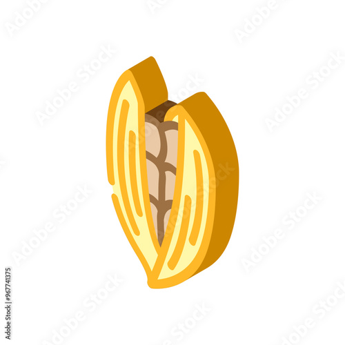 cardamom pods ayurvedic herb isometric icon vector. cardamom pods ayurvedic herb sign. isolated symbol illustration
