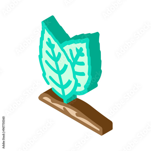 holy basil ayurvedic herb isometric icon vector. holy basil ayurvedic herb sign. isolated symbol illustration