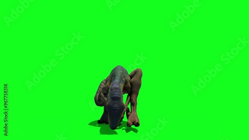 dinosaur  coming front on green screen in High quality 4K