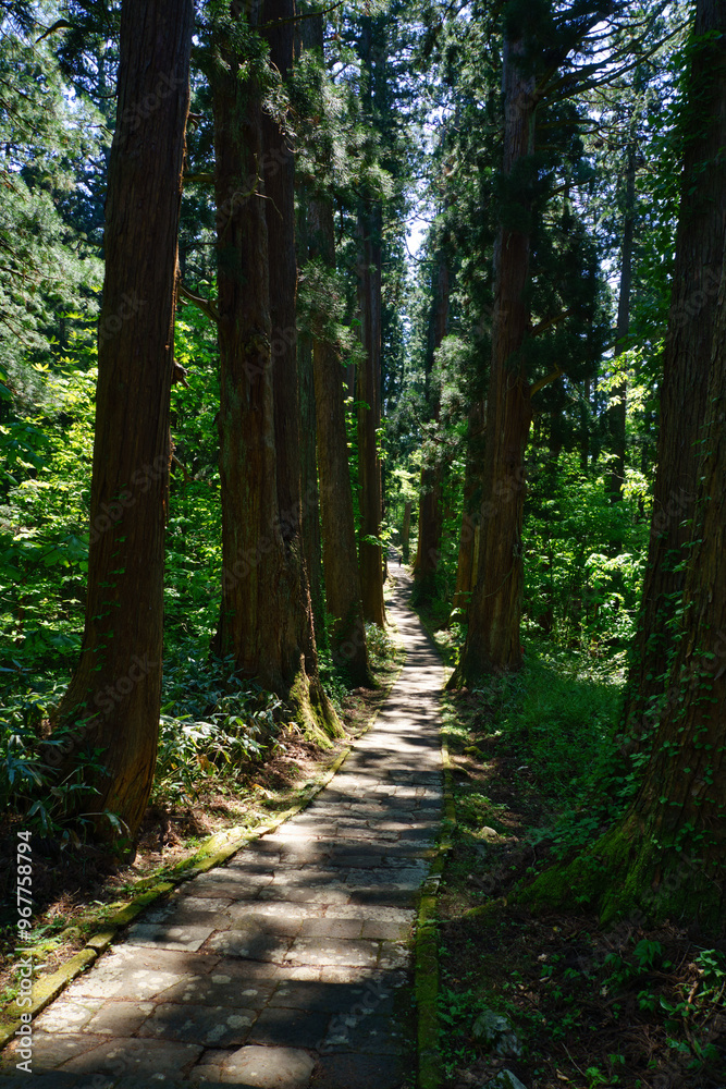 Obraz premium 出羽三山神社