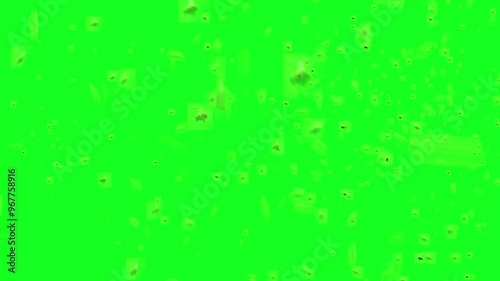 bees flying fast on green screen in High quality 4K