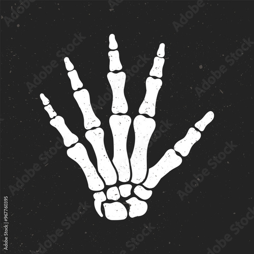 Skeleton hand, five phalanges of fingers. Vector clip art illustration and grunge texture.