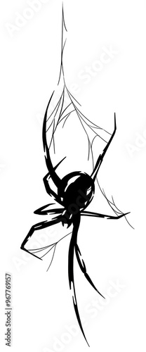 spider on a white background, spider tattoo, spider sketch, spider drawing, insect, spider