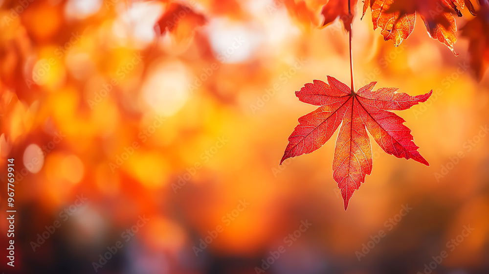 A close-up view of a vibrant red maple leaf against a warm autumn background, capturing the beauty of nature's changing colors. A close-up view of a vibrant red maple leaf against a warm autumn background, capturing the beauty of nature's changing colors.