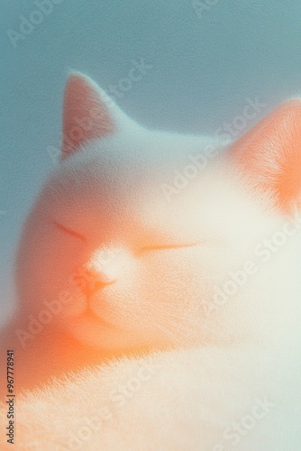 decorated with a sun and a little white cat, a hand illustration in the style of a vector illustration