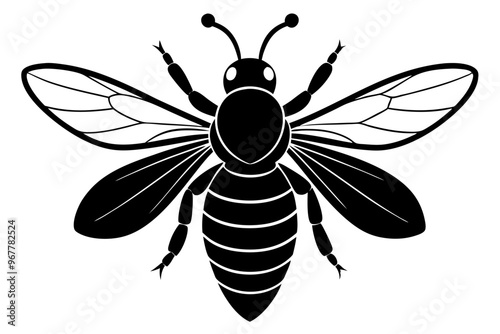 Vector illustrations depict a black wasp and a bee, isolated insects with detailed wings