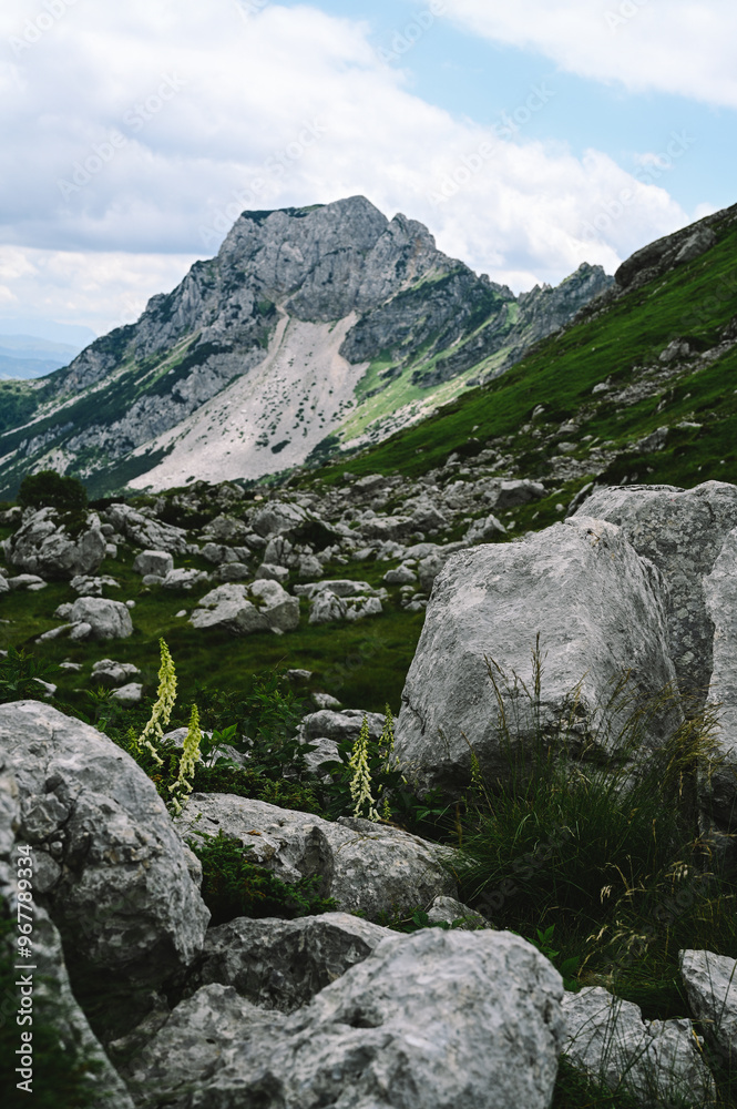 Panoramic Mountain Range and Views - Alpine style Alps in Durmitor, Montenegro - Wide Landscape Shot of epic Mountains and Roads Panoramic Mountain Range and Views - Alpine style Alps in Durmitor, Montenegro - Wide Landscape Shot of epic Mountains and Roads