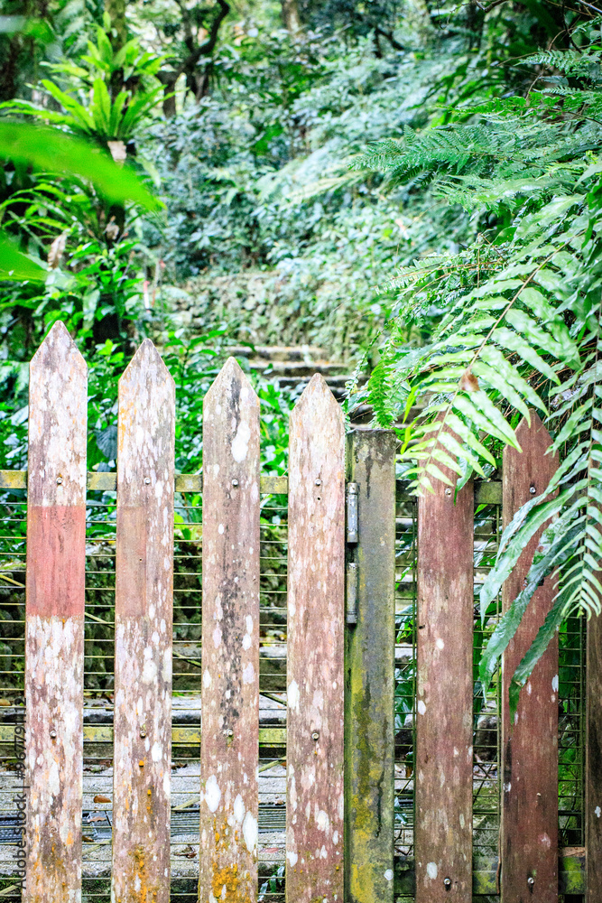 Weathered Wooden Gate Leading to a Lush, Hidden Path Weathered Wooden Gate Leading to a Lush, Hidden Path