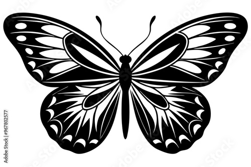  butterfly silhouettes collection, vector illustration isolated on a white background