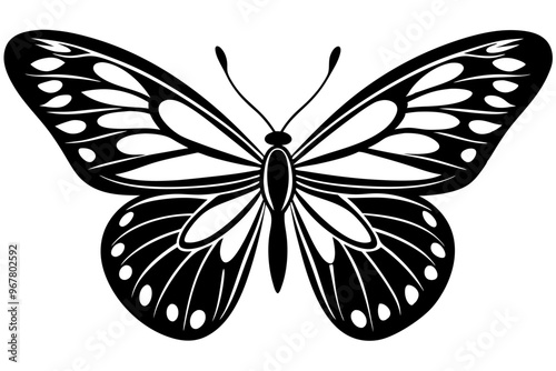  butterfly silhouettes collection, vector illustration isolated on a white background