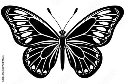  butterfly silhouettes collection, vector illustration isolated on a white background