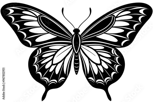  butterfly silhouettes collection, vector illustration isolated on a white background