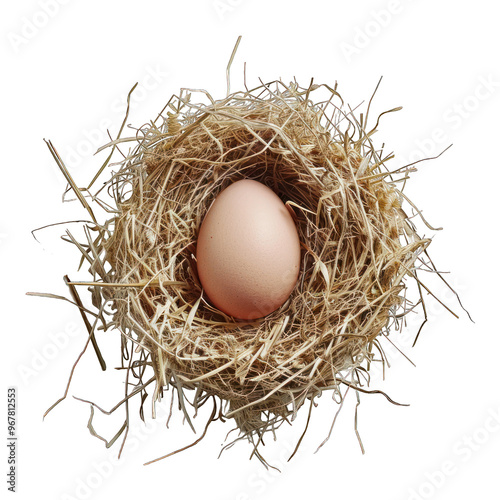 Egg transparent background png cut out file clipping path no background 