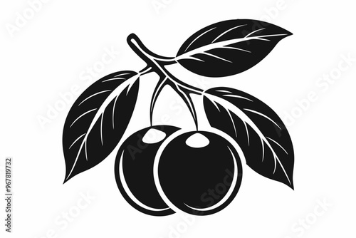 kumquat silhouette vector illustration