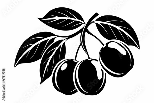 kumquat silhouette vector illustration