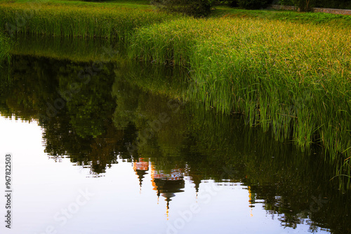 Cattails on the river. Autumn landscape with ducks in pond. Fall nature landscape. Beautiful pond in Feofania Park, Kyiv. Autumn nature duck. Seasonal fall landscape. Park autumn scenic fall photo