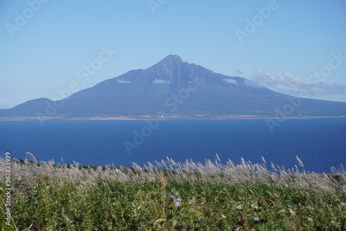 ススキと海と利尻富士