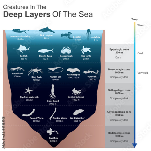 Creatures In The Deep Layers Of The Sea. Sample of creatures in under deep sea completely dark.