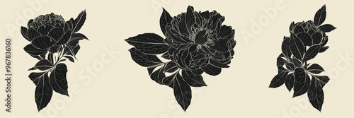 Vintage style foliage wall art template. Collection of hand drawn flowers texture, leaf branch, line art. Botanical poster set for wall decoration, interior, wallpaper, banner.
