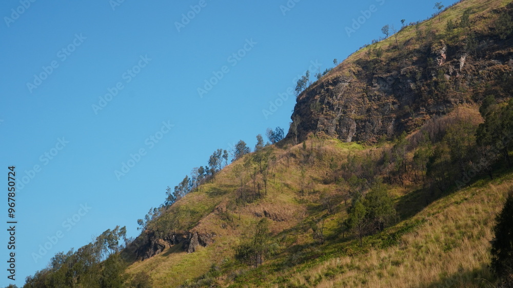 Obraz premium steep cliff with trees on top