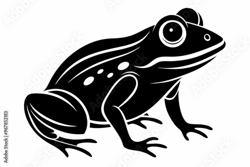 frog vector silhouette, frog animal ,frog illutration white background photo