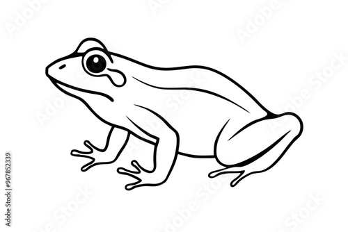 frog vector silhouette, frog animal ,frog illutration white background photo