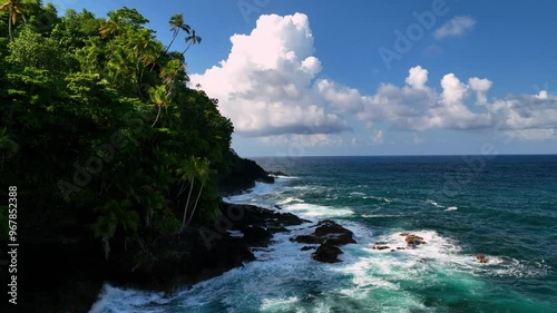 Aerial view of tropical island with lush greenery and palm trees along the coastline, Atua, Samoa. photo