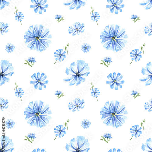 Blue chicory plant watercolor floral seamless pattern. Wild meadow Cichorium flower heads illustration. Delicate intybus. For medical design, package, wedding decor