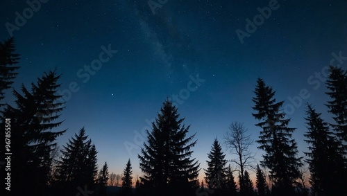 Blue night sky over Krusne Mountains with silhouetted trees before dawn.